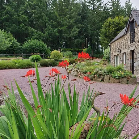 住宿加早餐酒店 Le Petit Bois Normand - Chambre D'hote Champ-du-Boult